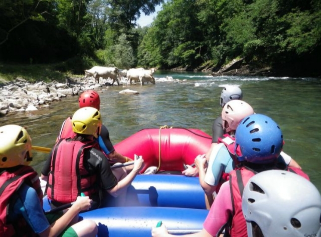  Sorpresas en el río.